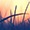background_preview