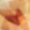 background_preview