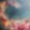 background_preview